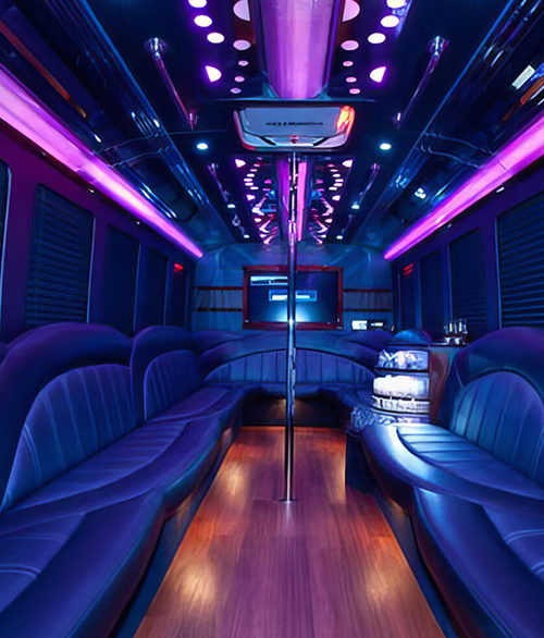 limo & party bus service